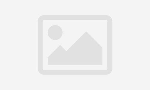 Online learning management system & learn dash course